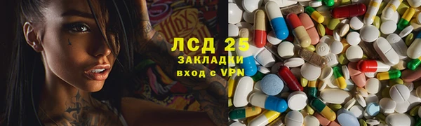 стаф Аркадак