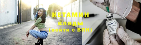 стаф Аркадак