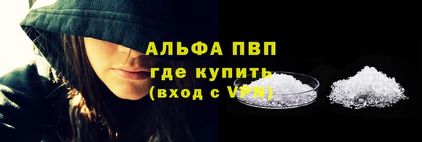 стаф Аркадак