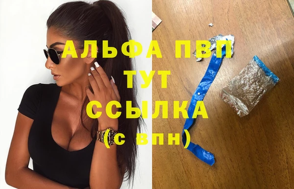 стаф Аркадак