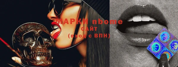 стаф Аркадак