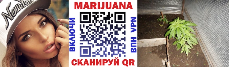Бошки марихуана план Тутаев